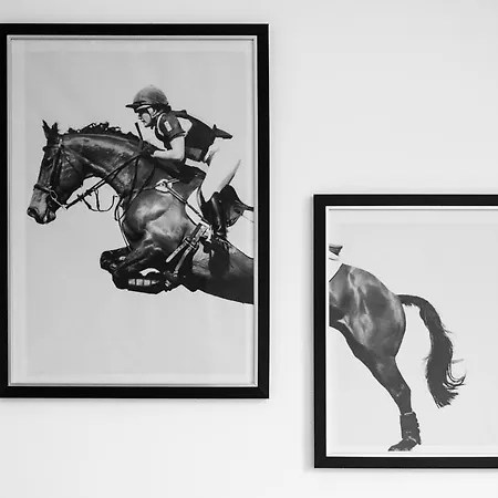 Au Dream Of Horse, Dream Of Golf, Proche Hippodrome, Cloud